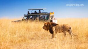 Read more about the article Explore Kenya: Perfect First-Timers’ Guide to an Unforgettable Holiday