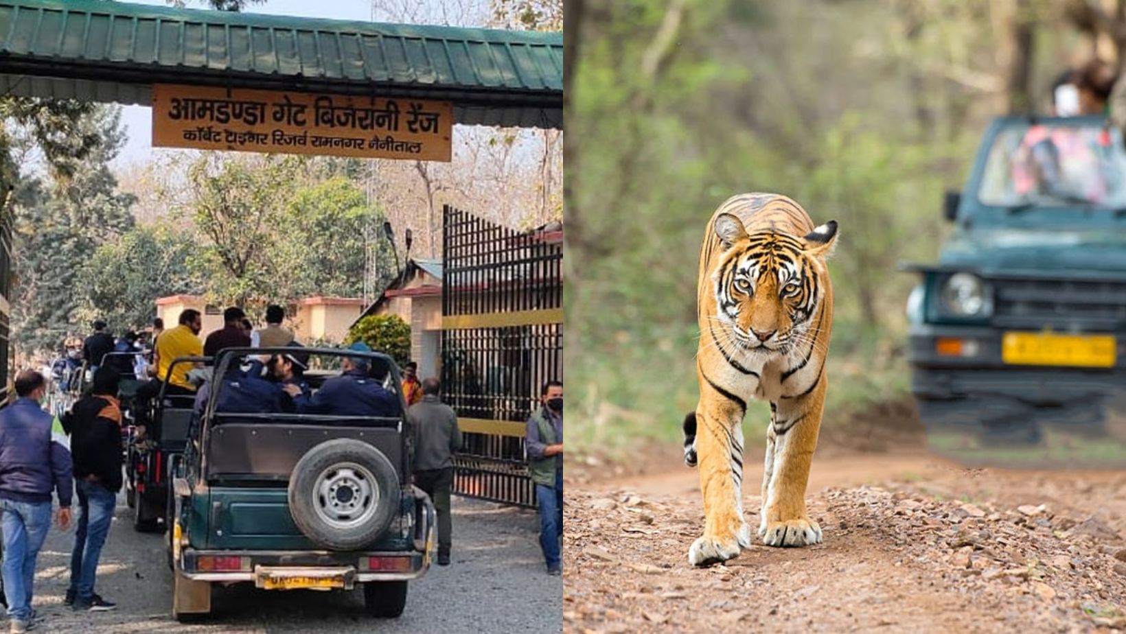 Read more about the article Explore Jim Corbett National Park, Uttarakhand & Rich History and Natural Beauty